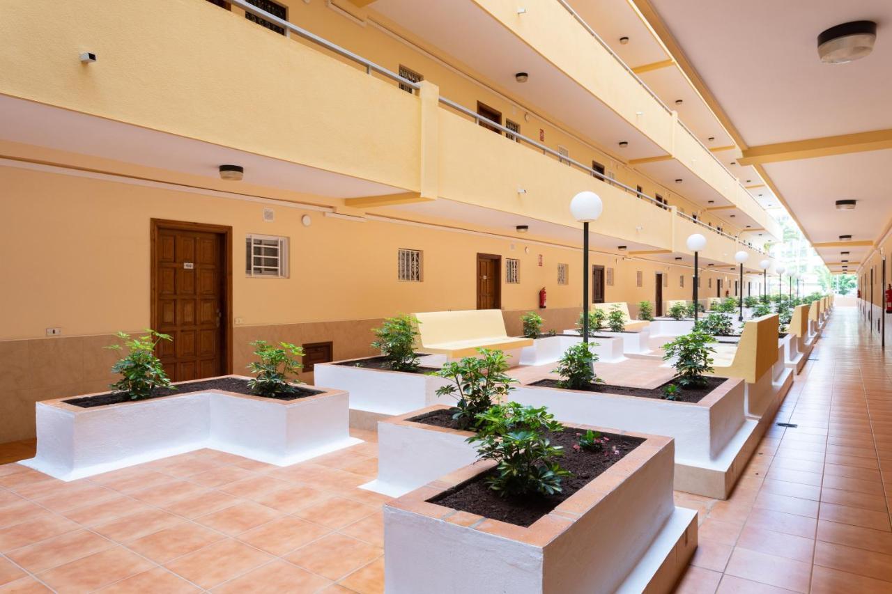 Los Angeles Holiday Home Los Cristianos  Exterior photo